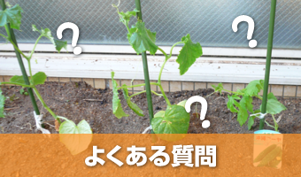 よくあるご質問