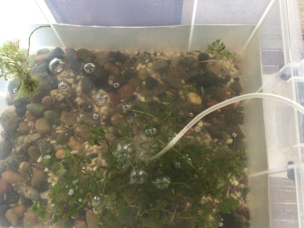 居宅 西森 秋ブログ用 (3)