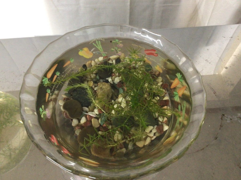 居宅 西森 秋ブログ用1