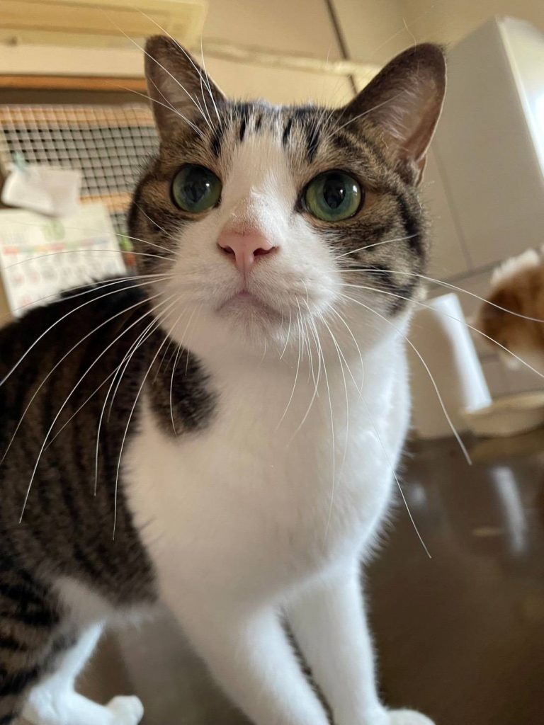 居宅12月ブログ写真