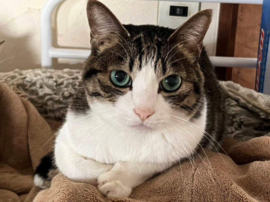 居宅12月ブログ写真②